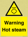 warning-hot-steam~